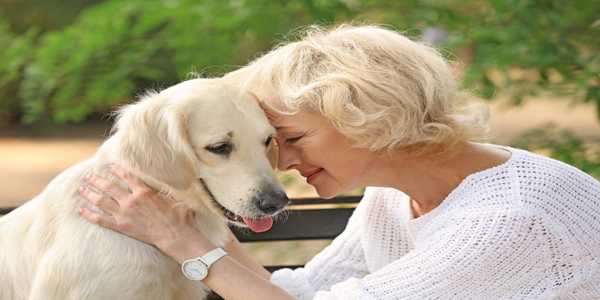 A Holistic Approach to Caring for Your Senior Pet