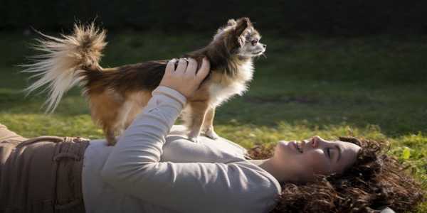 The Health Benefits Of Owning A Pet: How Pets Improve Mental Well-Being