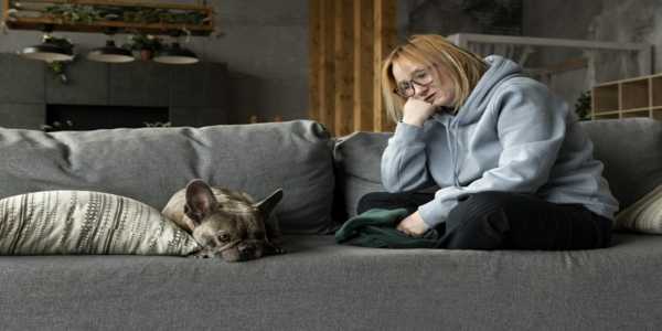 The Science Behind Pet Anxiety: Understanding And Managing Your Pet’s Stress